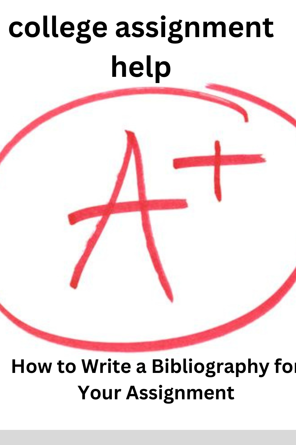 How to Write a Bibliography for Your Assignment