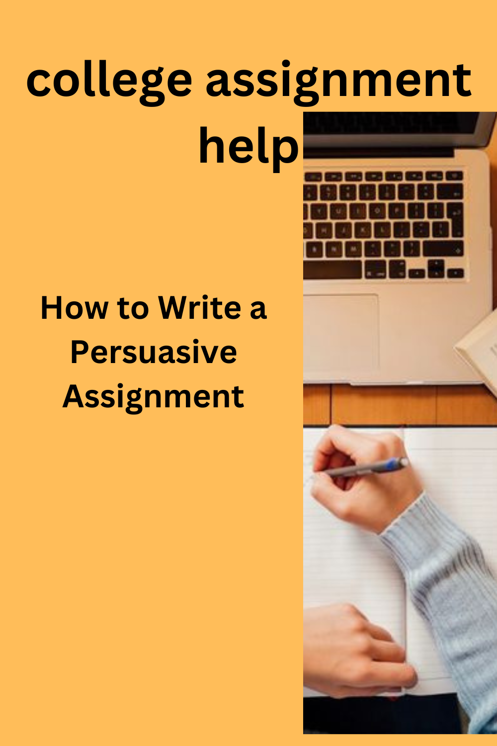 How to Write a Persuasive Assignment